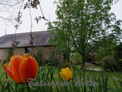 Pleudihen / Rance entre St Malo et Dinan Maison en pierre 2 épis 1-2 pers CALME