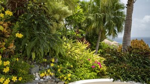 Un exuberante jardín con diversas plantas y flores, una palmera y vista al océano.