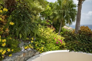 Property grounds - Stunning views! Infinity pool. 5* South Shore home. (Cruz Bay)