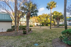 A courtyard with palm trees, a grassy area, and buildings with balconies.
