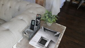 Un sofá con controles remotos y una pequeña planta en maceta sobre una mesa de madera.