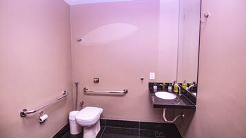 Une salle de bain équipée de toilettes, de barres d’appui, d’un lavabo et d’un miroir.