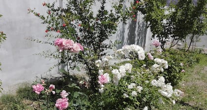 Hunza experience guest house