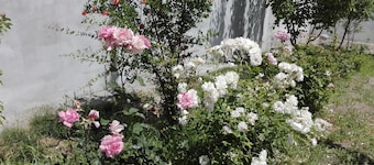 Hunza experience guest house