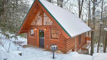 A log cabin with a snow-covered roof, a front door, and a porch.