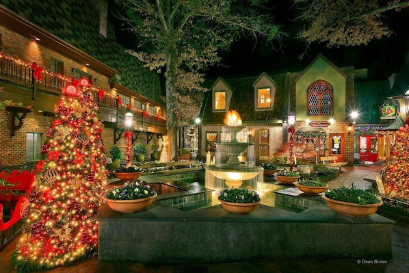 Cabin | Property grounds