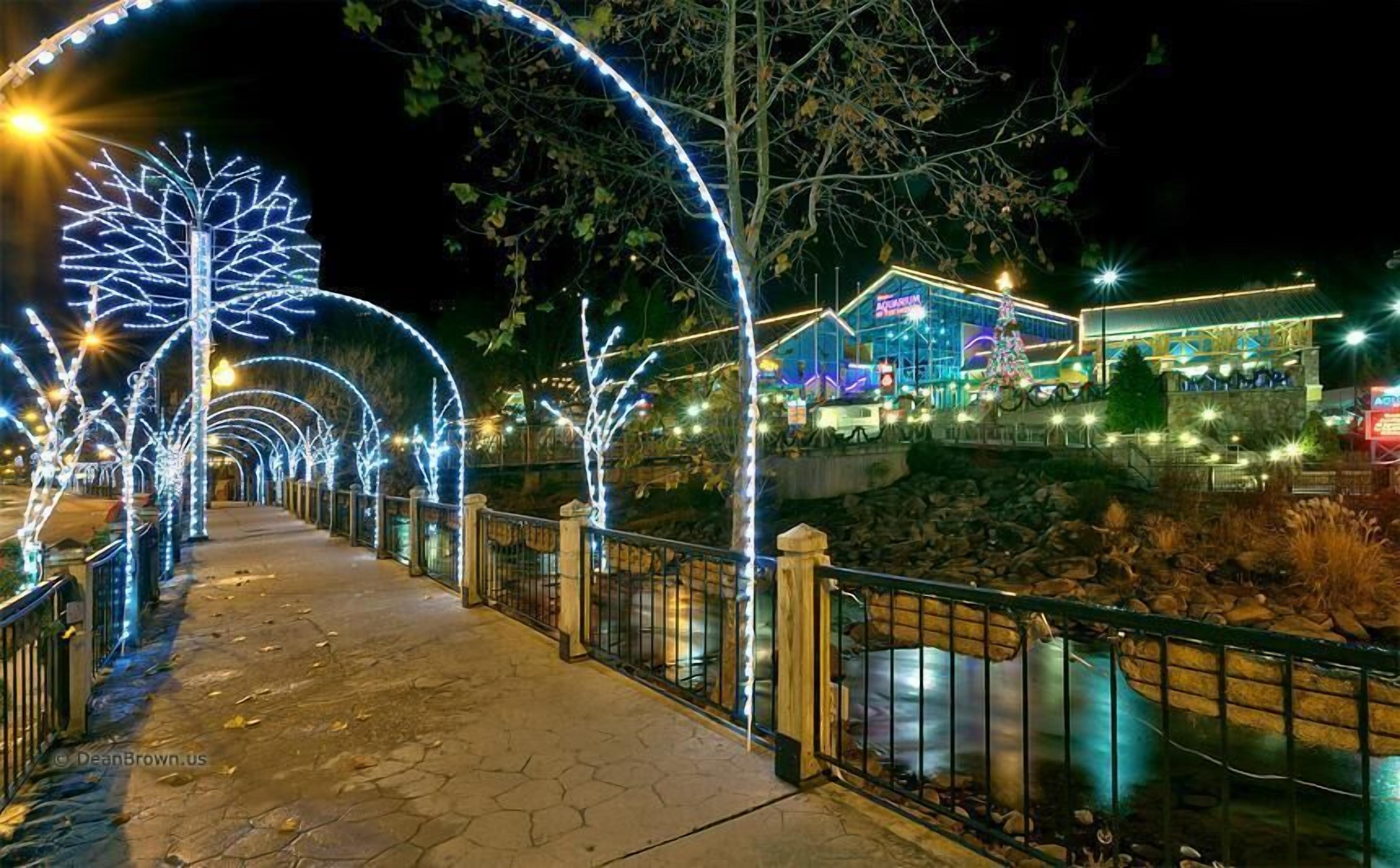 Un sendero bordeado por árboles iluminados y un edificio de fachada azul.