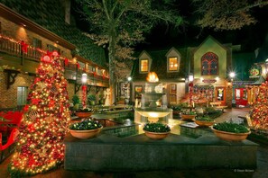 캐빈 | 숙박 시설 구내