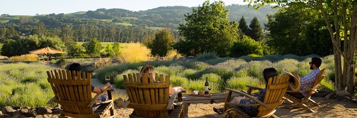 Rejuvenate in the Zen Bath: Close to everything yet so far away!