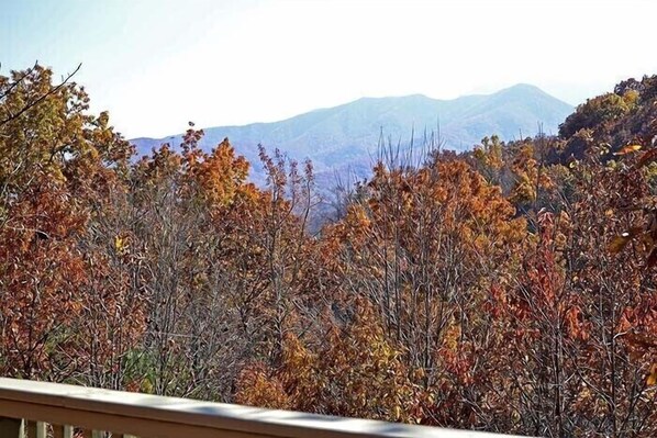 A view of autumn foliage with mountains in the background.