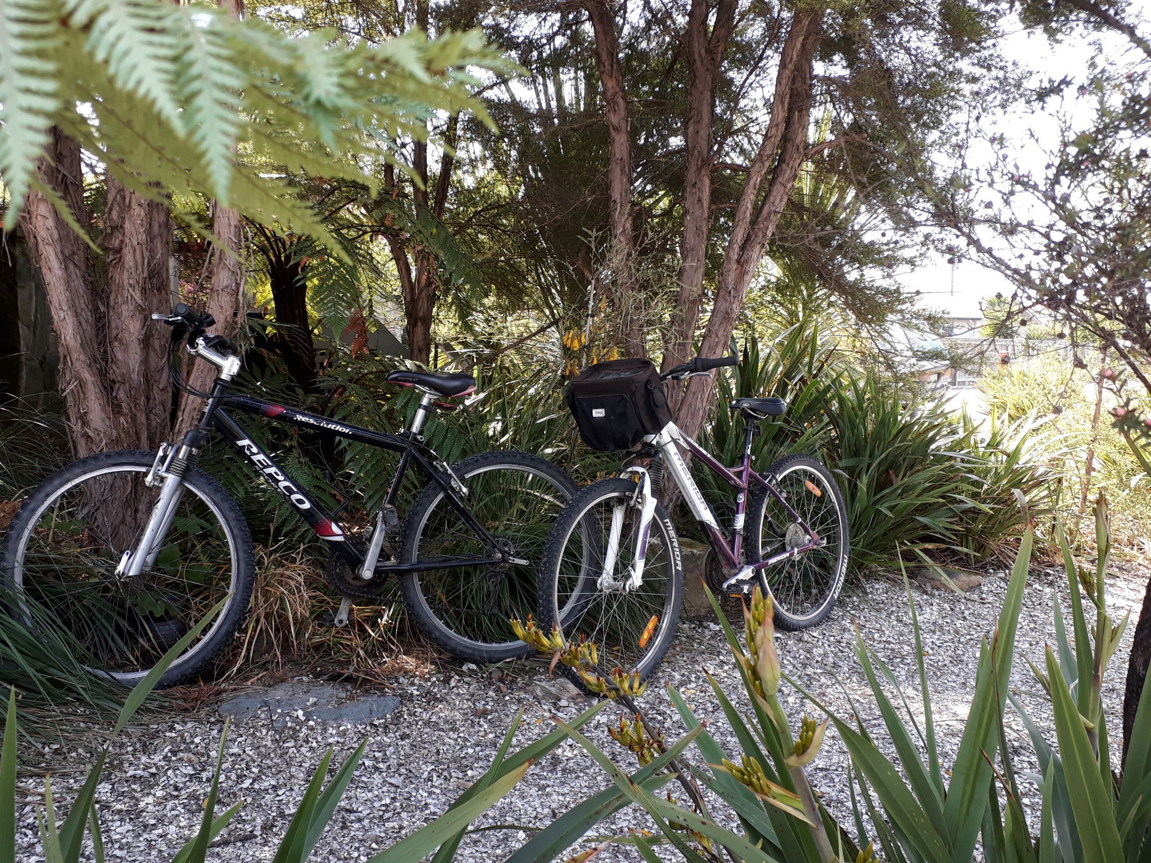 Two bicycles parked on a gravel path surrounded by trees and plants.