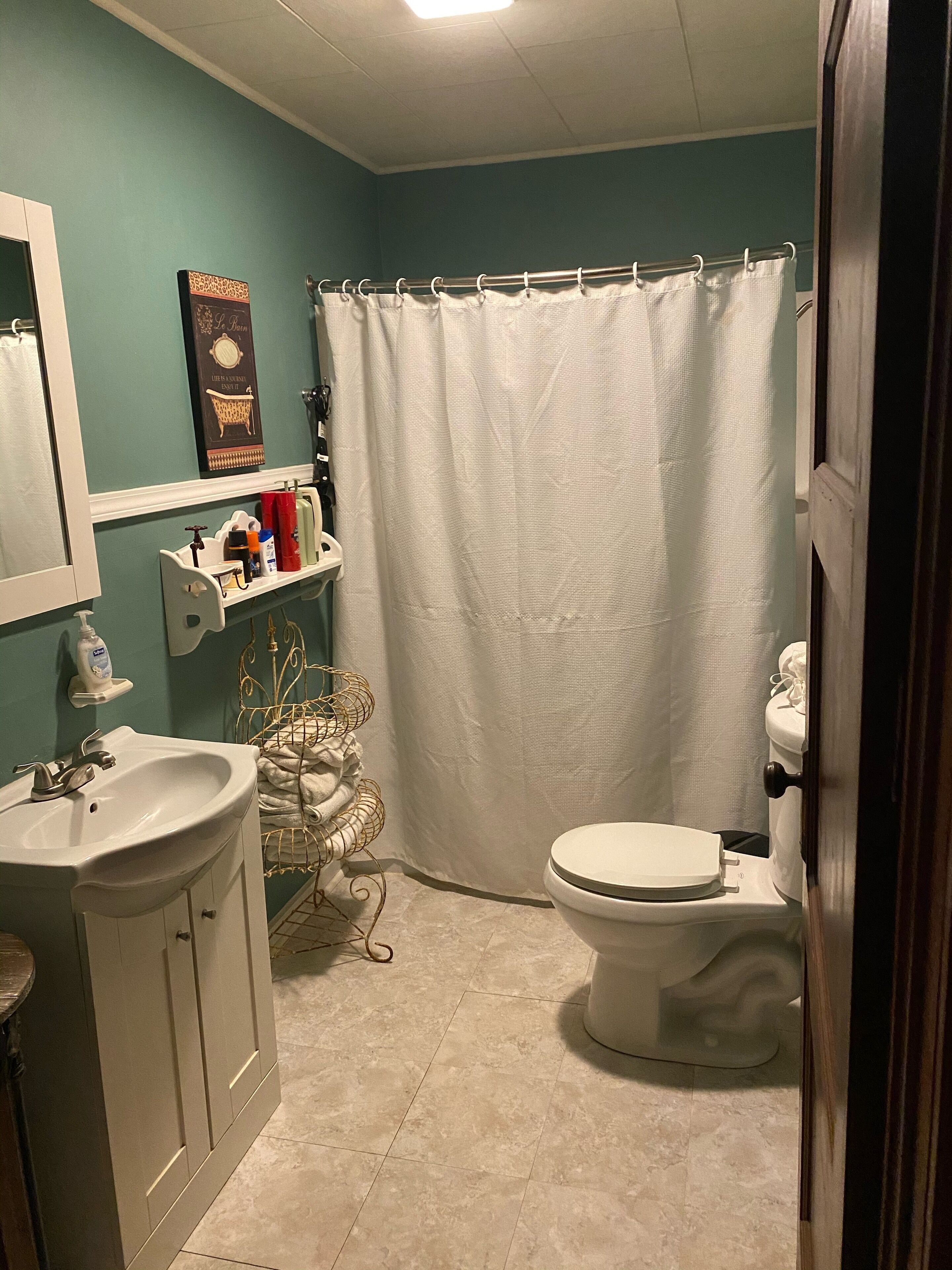 Hair dryer, towels, soap, shampoo