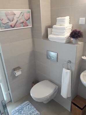 Shower, free toiletries, hair dryer, towels