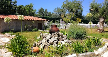 Louro's Villa in Vila Nova