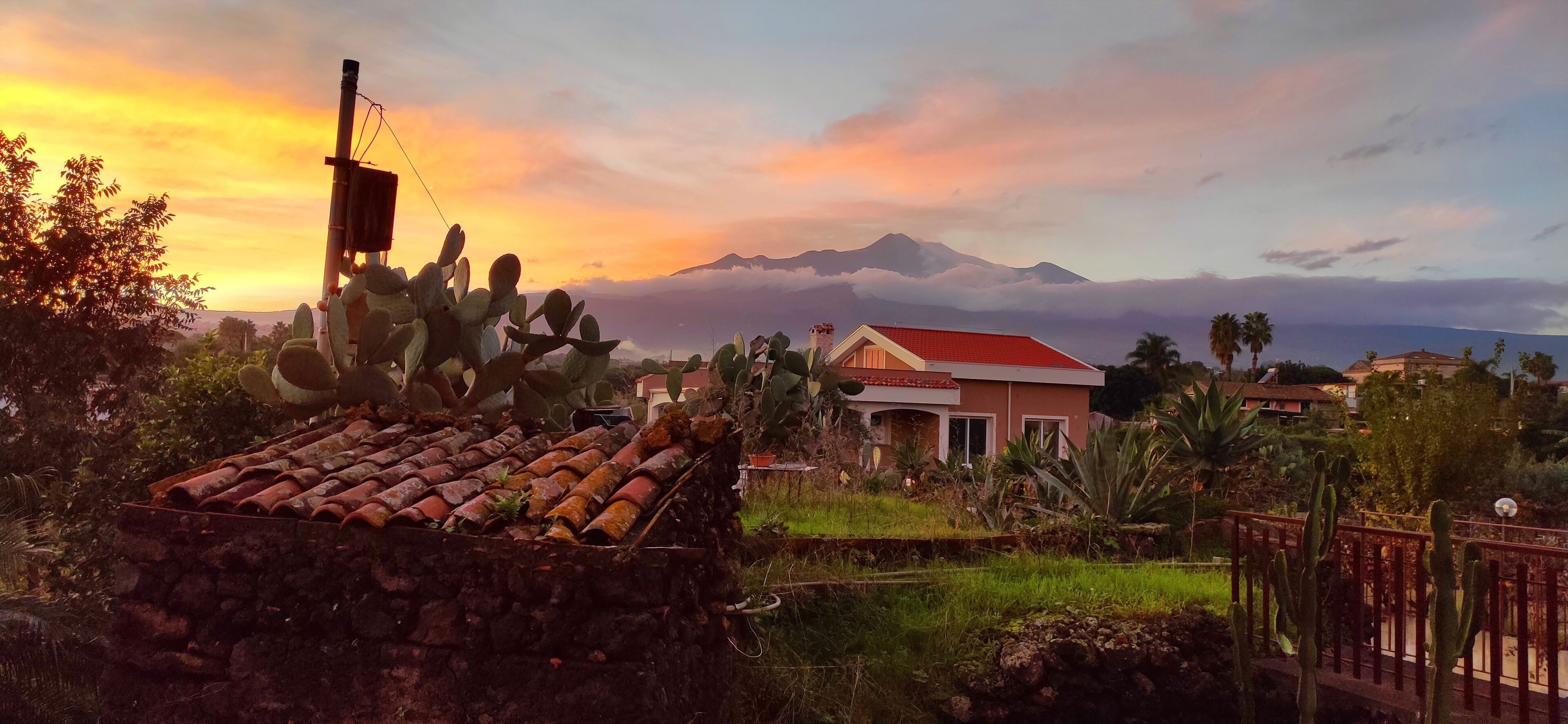 Une maison avec un toit rouge, entourée de cactus et d’un mur de pierre.