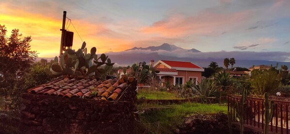 A house with a red roof, surrounded by cacti and a stone wall.