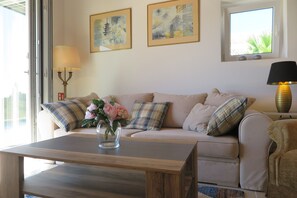 Smart TV, caminetto, lettore DVD, libri