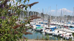 A marina with multiple boats docked, surrounded by greenery and a clear sky. - Little parenthesis in Trinité-Sur-Mer (La Trinité-sur-Mer)
