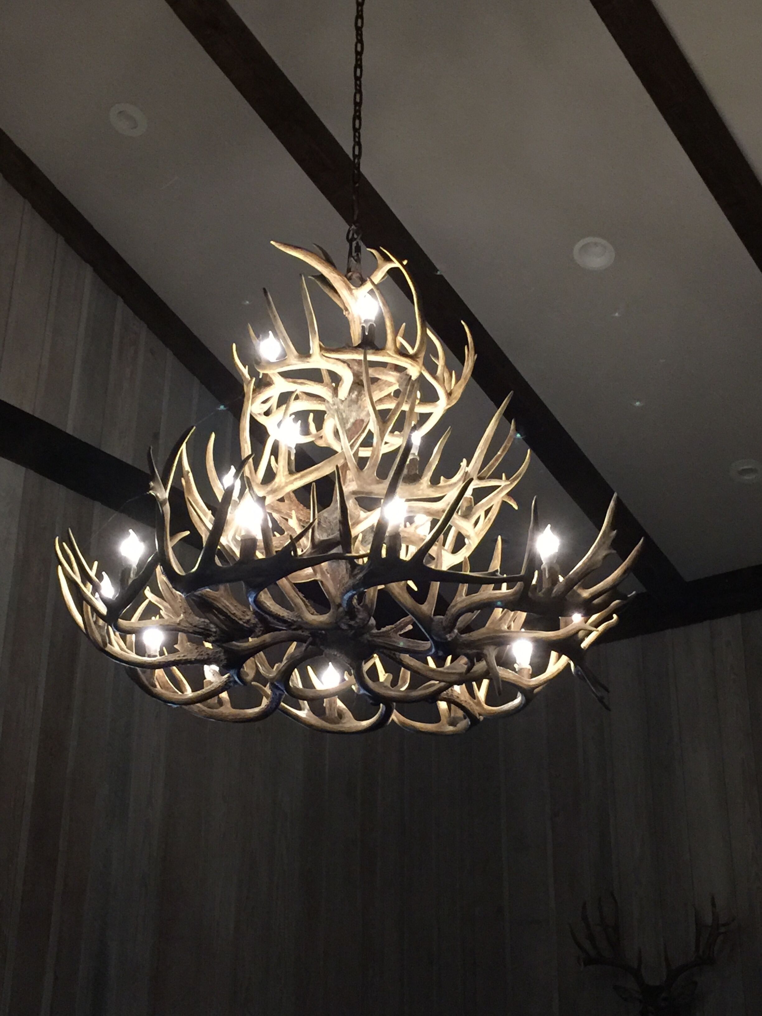 Un candelabro con un diseño único de cuerno, colgado del techo.