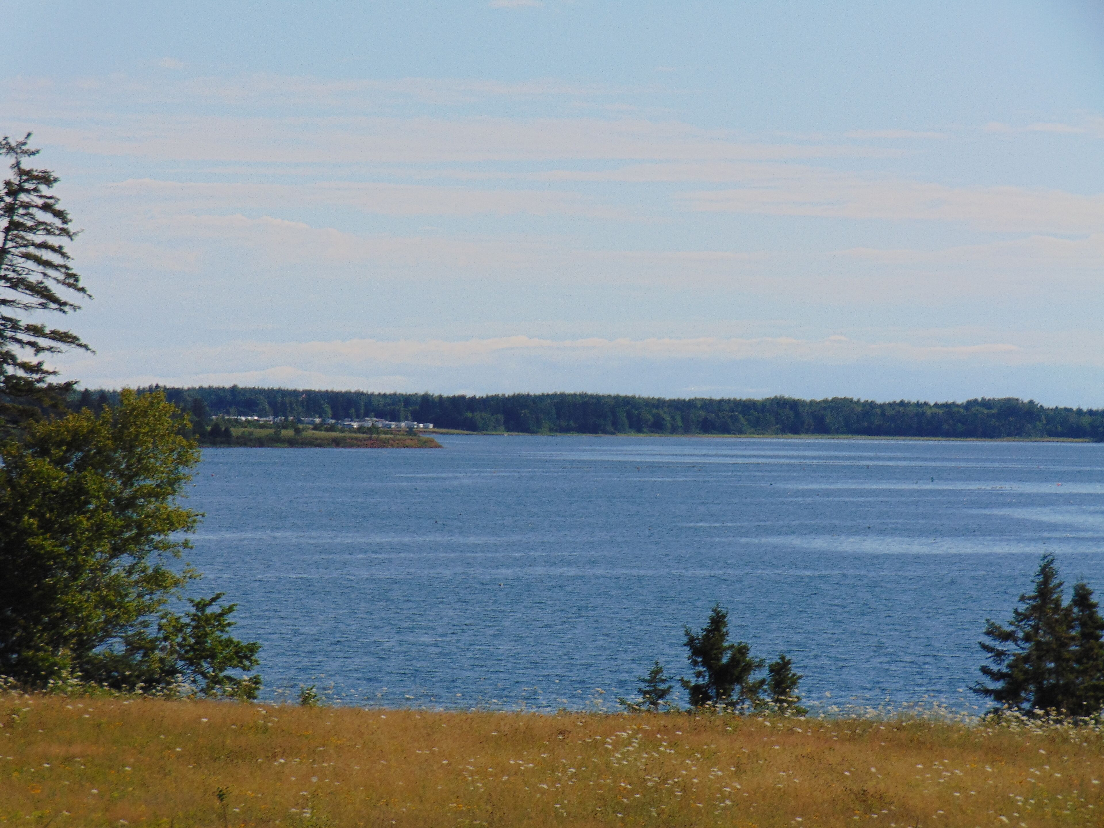 waterfront abode in murray harbour