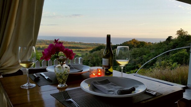 A table set for two with a bottle of wine, glasses, a vase with flowers, and a candle. A scenic view of a landscape with trees and a body of water is visible through a window.