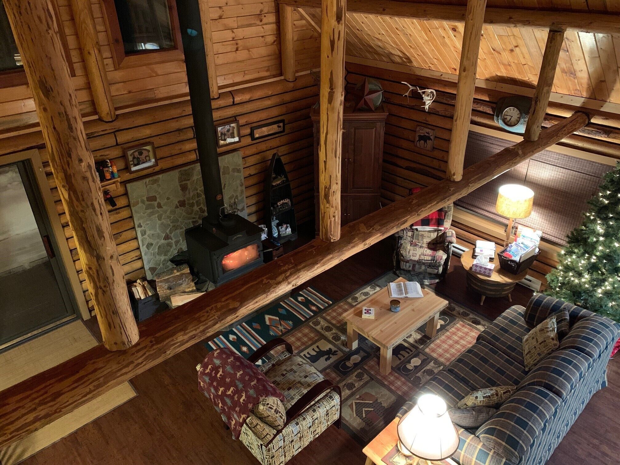 電視、壁爐、DVD 播放機、書籍