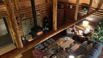 Télévision, cheminée, lecteur de DVD, livres