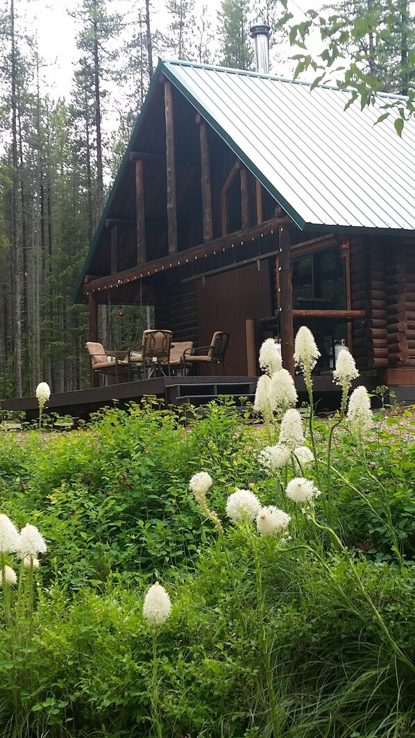 A log cabin with a porch, surrounded by a forest.