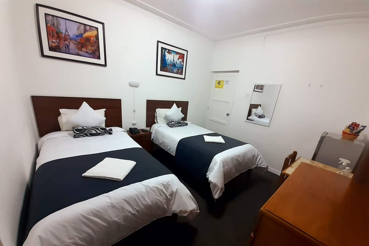 Habitacion doble, con dos camas individuales, baño privado | Minibar, muebles diferentes y escritorio