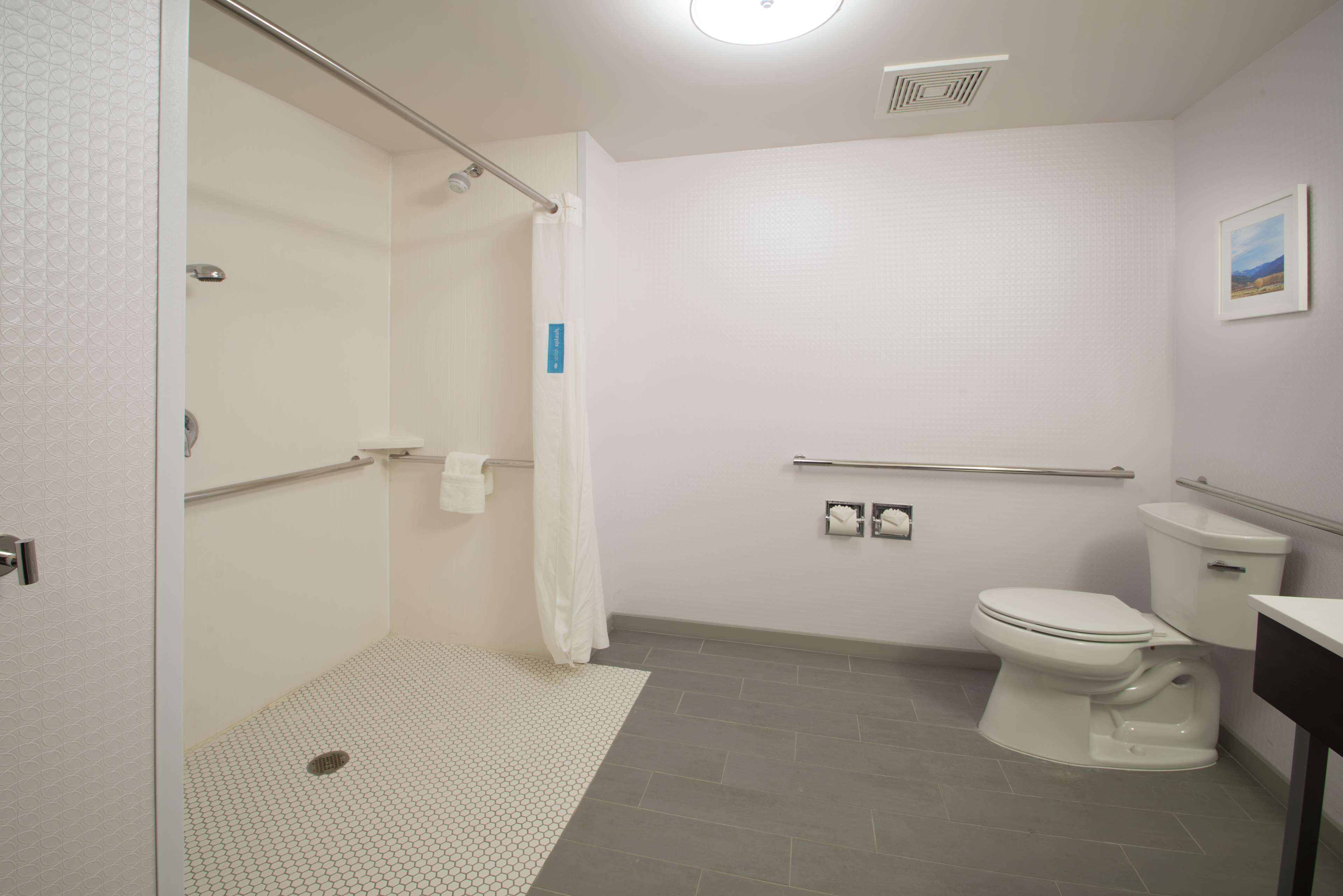 A bathroom with a shower, toilet, and handrails.