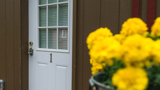 Una puerta blanca con una ventana, una pared marrón y una planta en maceta con flores amarillas.