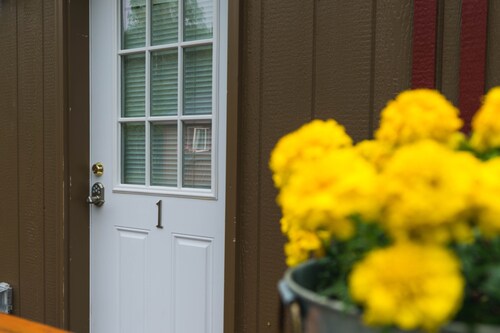 New! Sweet little cabin- Hiking, Fishing, BBQs, fire pits and picnic tables.