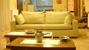 TV, fireplace, video games, stereo - The Sea View Villa privately villa (Pefkali)