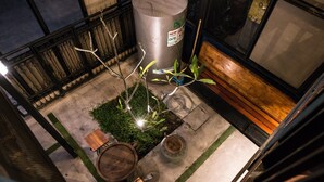 Un jardín en la azotea con una mesa de madera, un barril y una jardinera con plantas verdes.