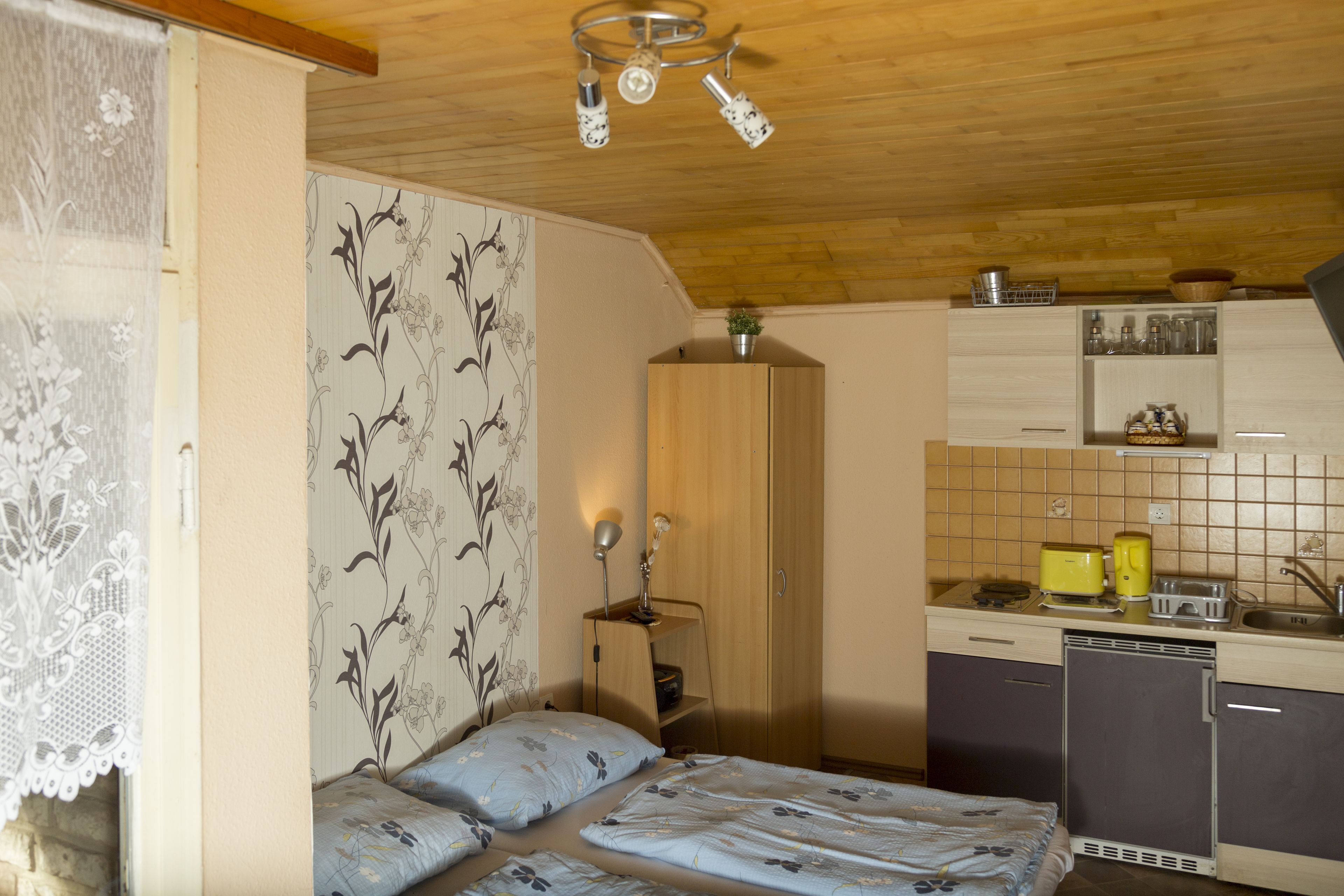 Studio apartmant | Private kitchen | Fridge, microwave, oven, stovetop