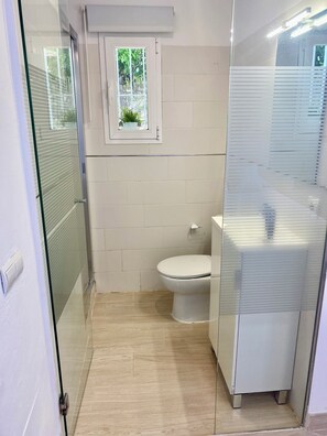Ein kleines, modernes Badezimmer mit Toilette, einem Fenster mit Pflanze und einer Duschkabine aus Glas.