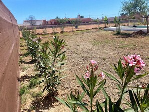 Parco della struttura