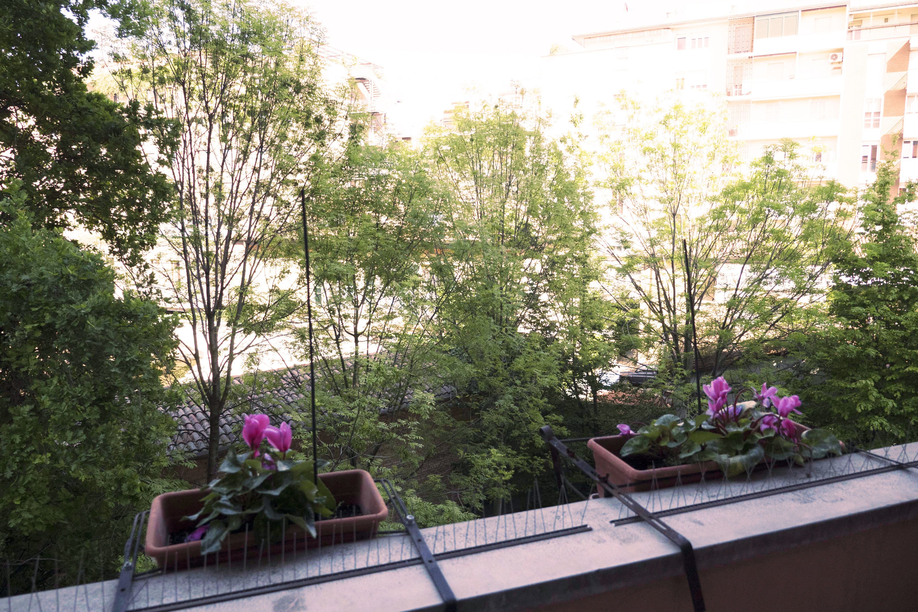 A balcony with potted plants and a view of trees and buildings. - New, Spacious, Bright, Elegant Loft Apartment With Balcony. Opposite the Hospital S. Orsola (Bologna)