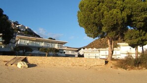 Un hôtel situé sur la côte, avec un grand arbre au premier plan, une plage de sable et une montagne en arrière-plan.