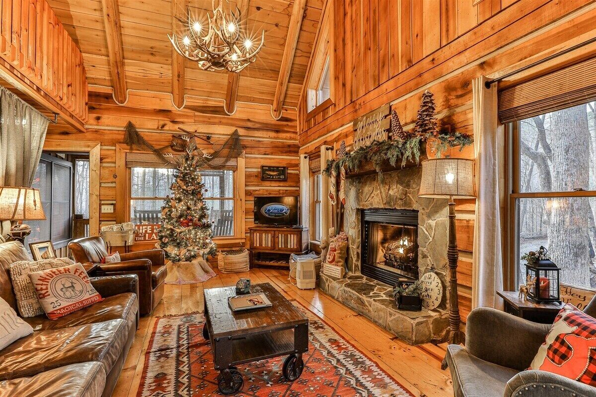 TV, fireplace, DVD player, books