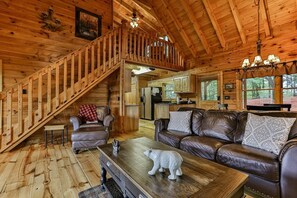 TV, fireplace, books
