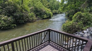 Property grounds - Bear Rapids on the Cartecay | Ellijay, GA (Ellijay)
