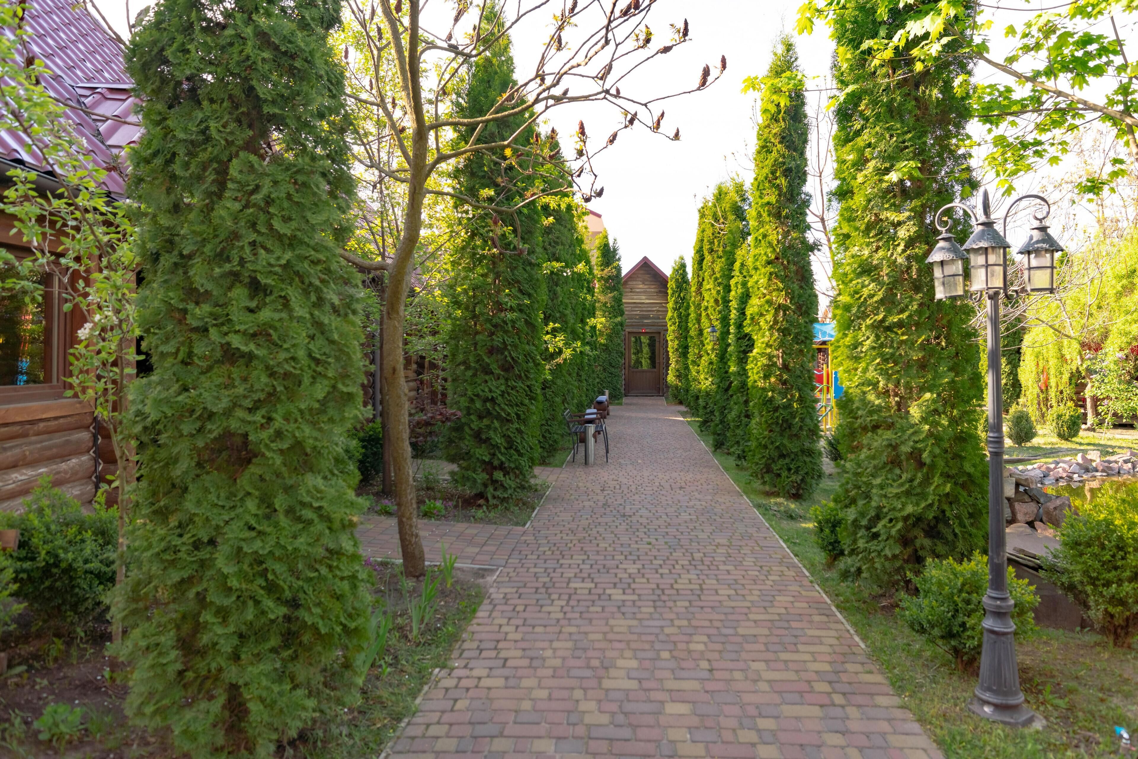 テラス / パティオ