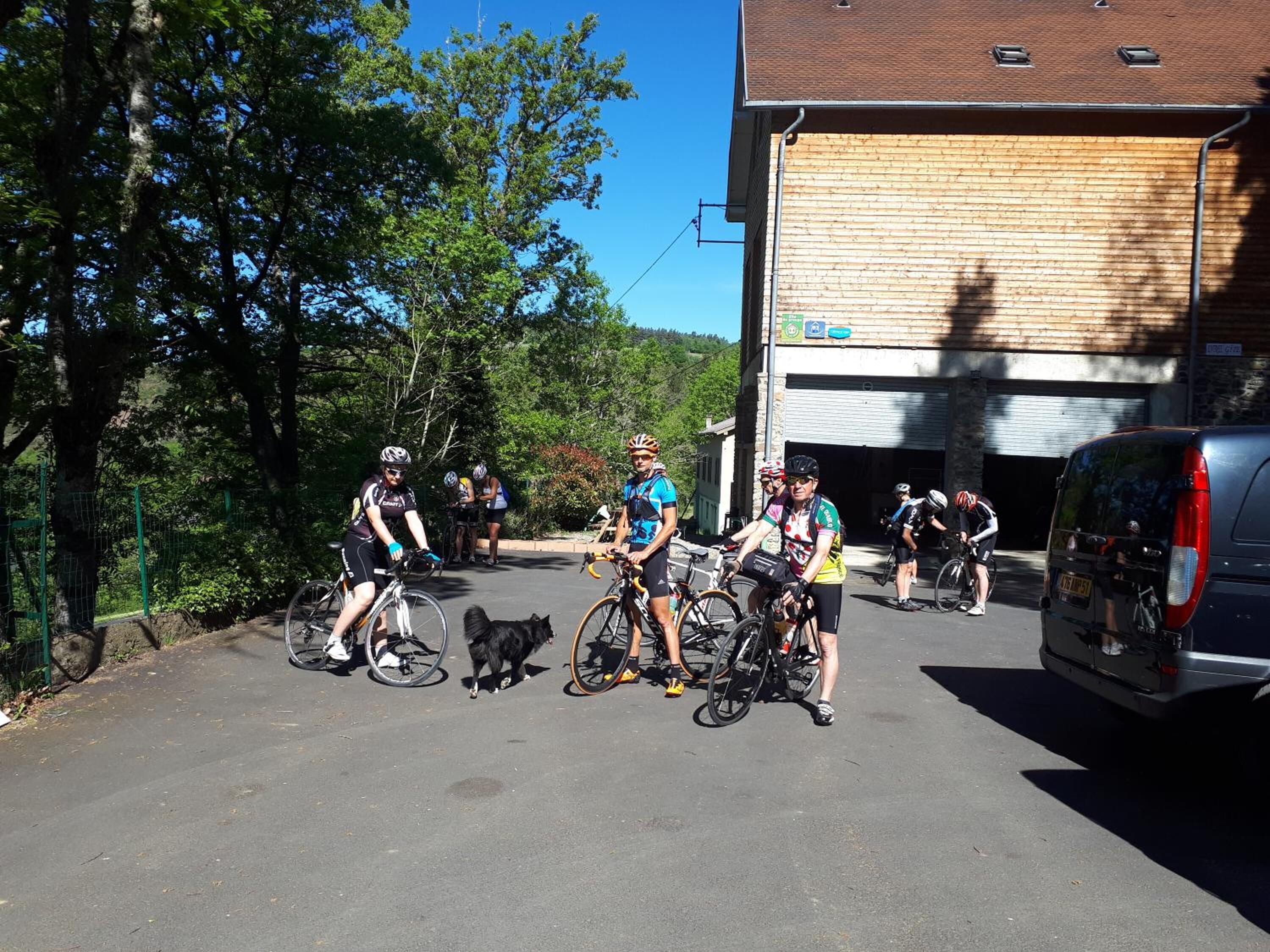 A parking area with bicycles and a dog, surrounded by trees and a building with a garage.