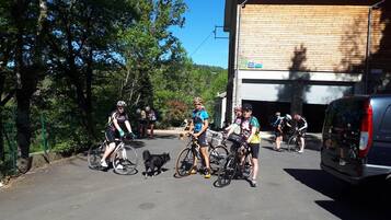 A parking area with bicycles and a dog, surrounded by trees and a building with a garage.