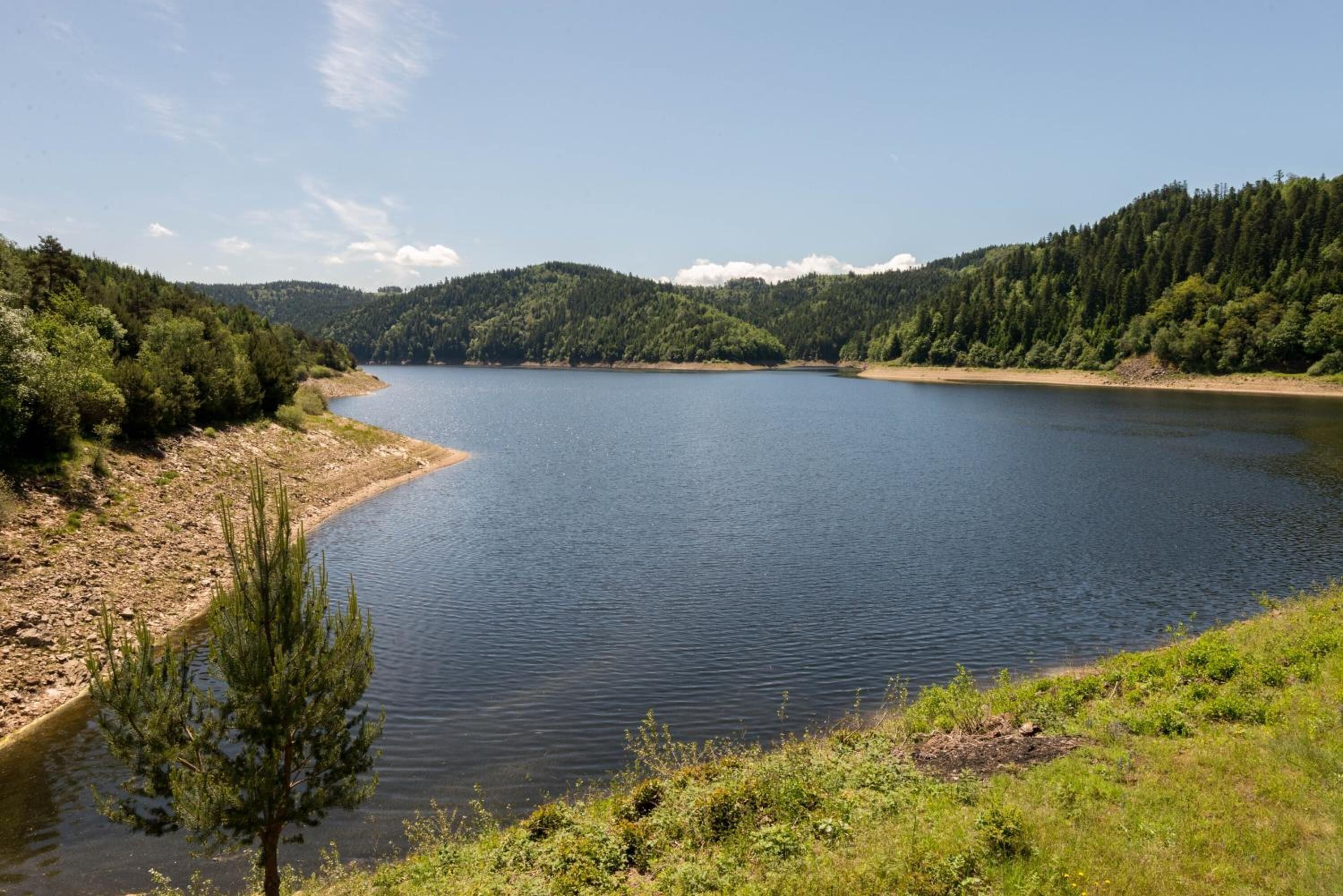 Un lago tranquillo circondato da dolci colline ricoperte di boschi.
