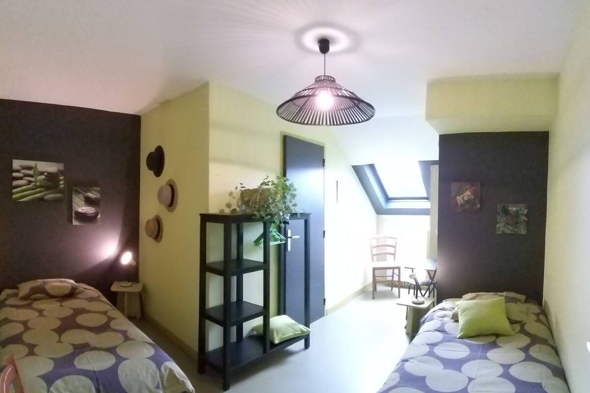A room with two beds, a small table, a chair, a shelf with plants, and a ceiling light.