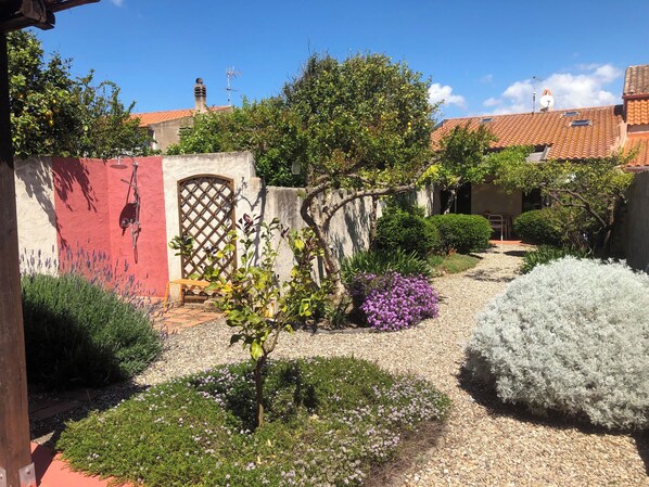 A courtyard with a gravel path, a wooden bench, and various plants. - Charming house with beautiful garden, close to the beach. Free WiFi! (riola sardo)
