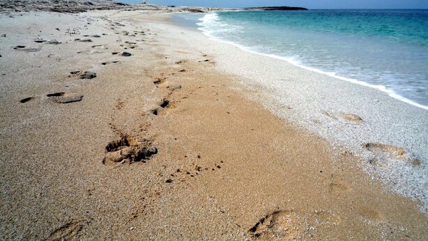 A sandy beach with footprints leading to the water, a clear sky, and calm sea. - Charming house with beautiful garden, close to the beach. Free WiFi! (riola sardo)