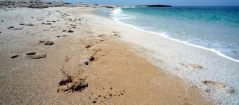 Charming house with beautiful garden, close to the beach. Free WiFi!